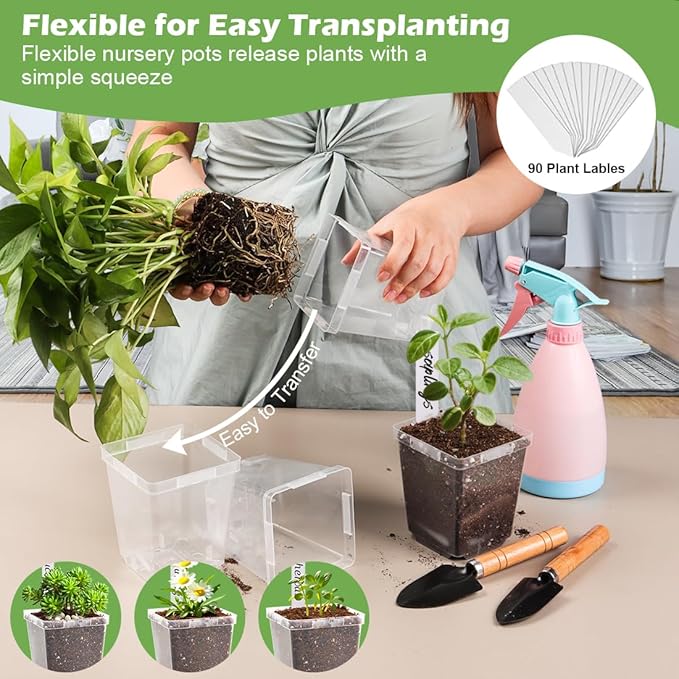 3.3 Inch Clear Nursery Pots - Image 6