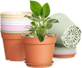 10 Pack 6 Inch Plant Pots with Drainage and Saucers, Plastic Flower Pots by SwinDuck