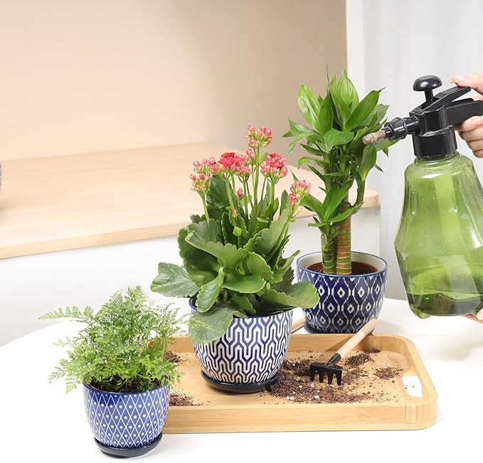 Selamica Ceramic Succulent Pots, 4.6 Inch Small Plant Pots - Image 6