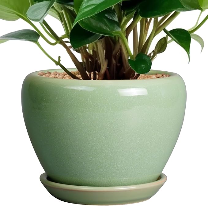 6 Inch Plant Pot by Ceramicfor