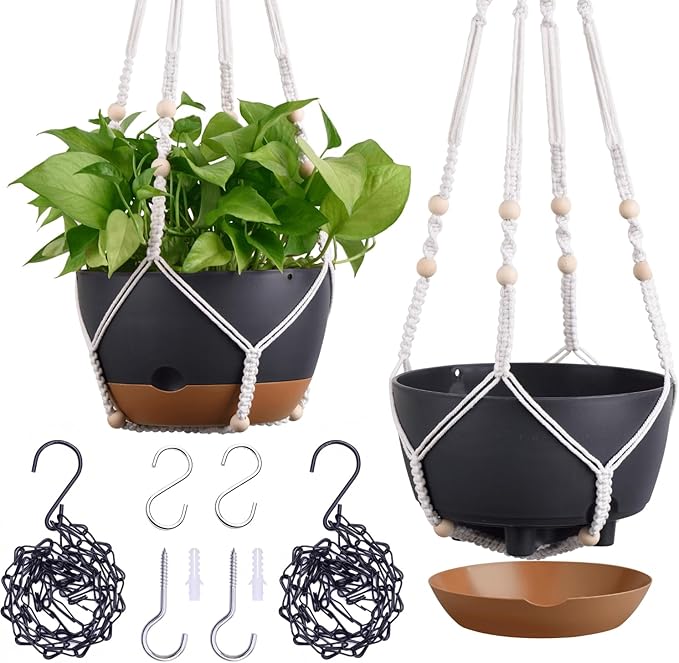 montresor Set of 2-8 Inch Hanging Planters by Montresor