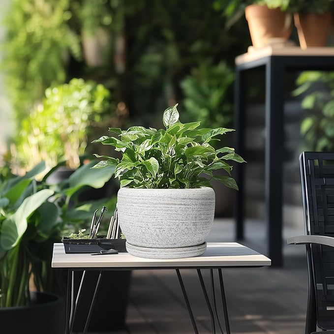 SQOWL Ceramic Plant Pots - Image 5