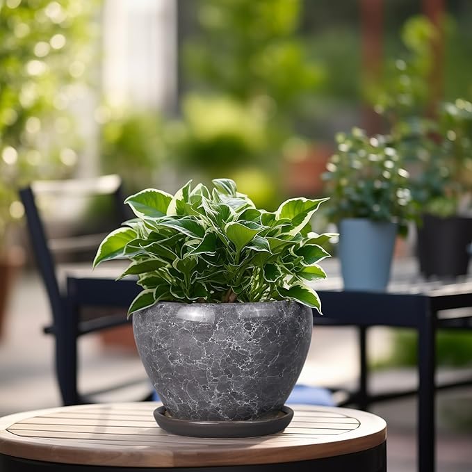 Ceramic Planter - Image 6