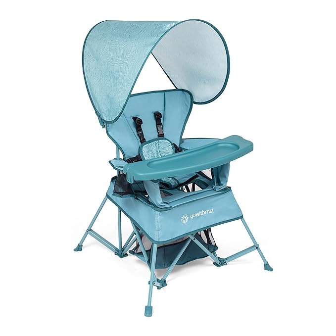 Baby Delight Go with Me Venture Portable Chair | Indoor and Outdoor | Sun by BabyDelight