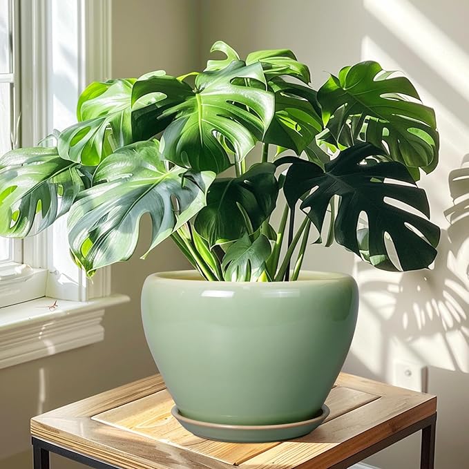 Ceramic Planter Pot - Image 6