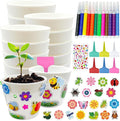 Cinrobiye 30 Set Garden Paper Pot Craft Kit，DIY Flower Plant Crafts by Cinrobiye