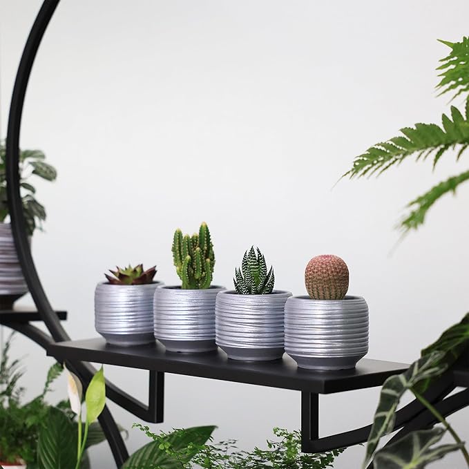 Mini Succulent Planter Set – 3.7 Inch Ceramic Pots - Image 7