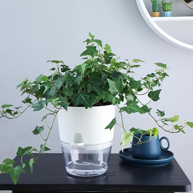 6Inch Self Watering Planter Pots 4 Pack Plant Pot - Image 4