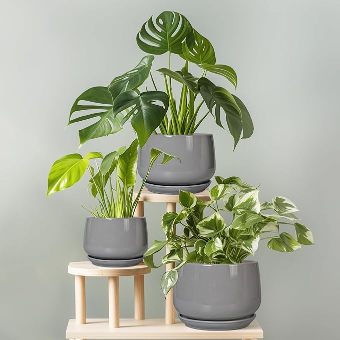 G EPGardening Ceramic Plant Pots - Image 7