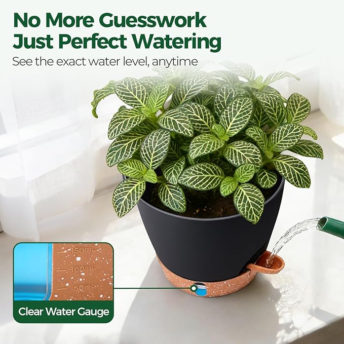 T4U 2 Pack 8 Inch Self Watering Pots - Image 7