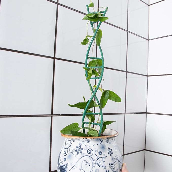 Indoor Plant Trellis for Potted Plants - Image 7