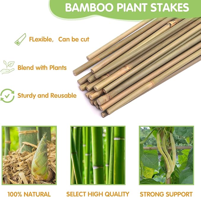 Plant Stakes, 4FT Longer Sturdy Natural Bamboo Garden Stakes, GAGINANG 25Pcs - Image 4