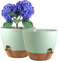 8 inch Self Watering Pots, 2 Pack Plastic Planters by WSMKSZ