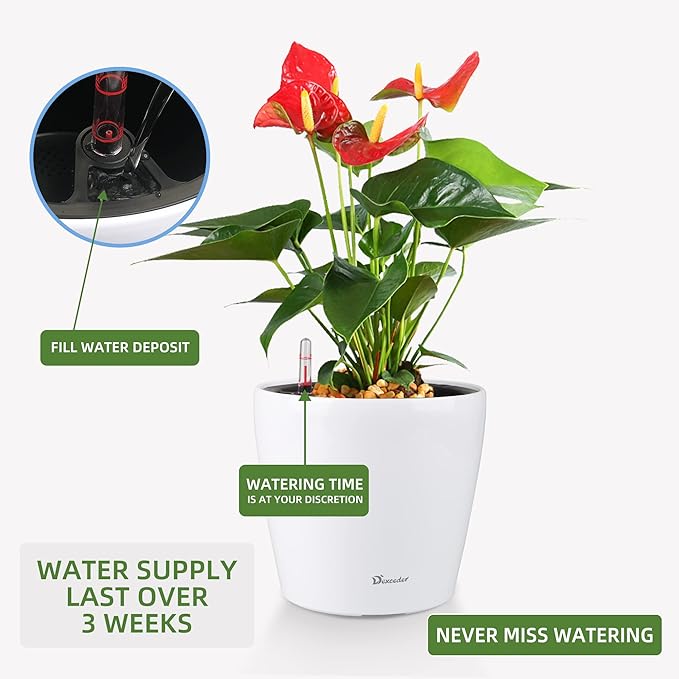 Dexceder 9x8 Inches High Gloss Self Watering Planter Indoor Outdoor, Inner Pot - Image 5
