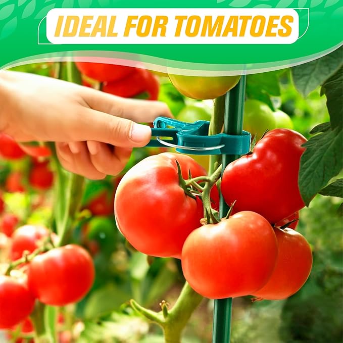 Tomato Plant Support Clips – 60 Pcs Reusable Plastic Garden Clips in 2 Sizes - Image 8