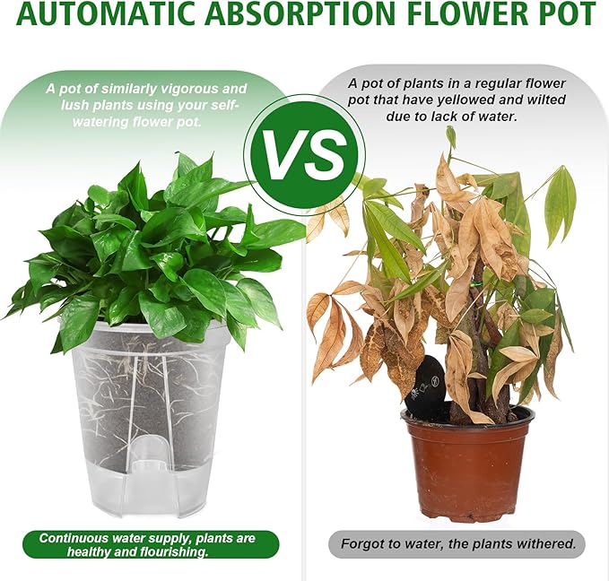 Cdd's Path Large Naked Root Planter Self Watering Pots Set - Image 4