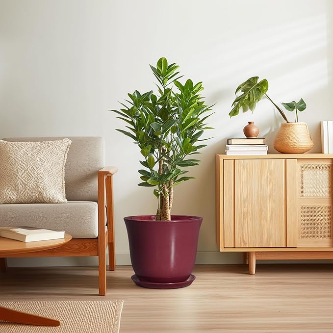 12 Inch Pots for Plants - Image 7