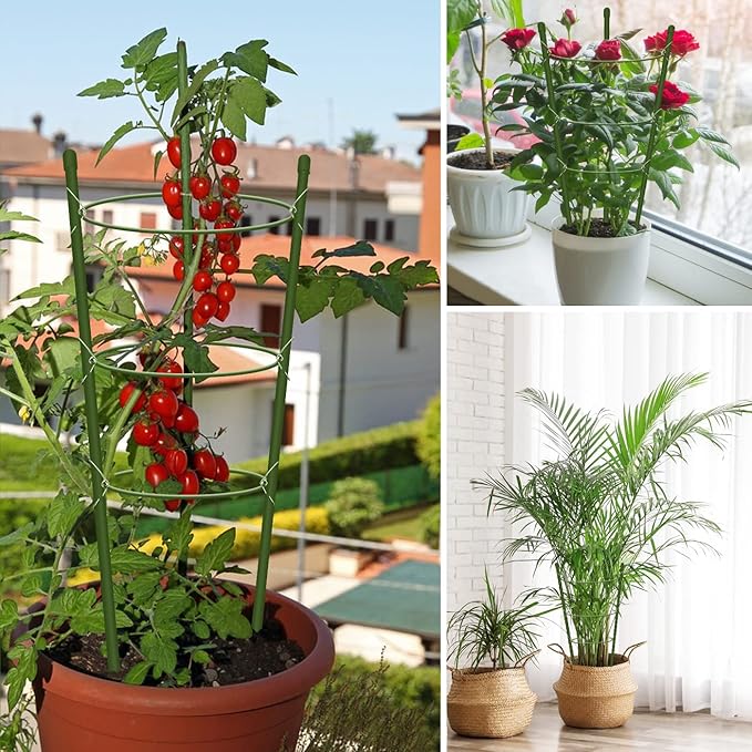4 Pack Tomato Cage for Garden Plant Support, 18 inches Small Tomato Cages - Image 6
