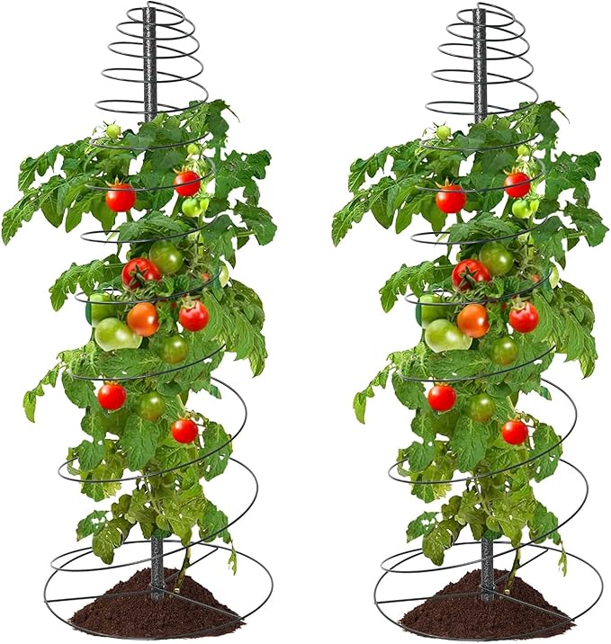 2 Pack 72in Tall Spiral Frame Trellis by EUIJOIP