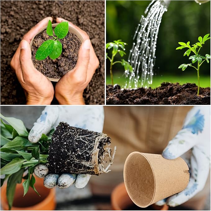 50PCS Peat Pots, 3.15Inch Seed Starting Pots - Image 4