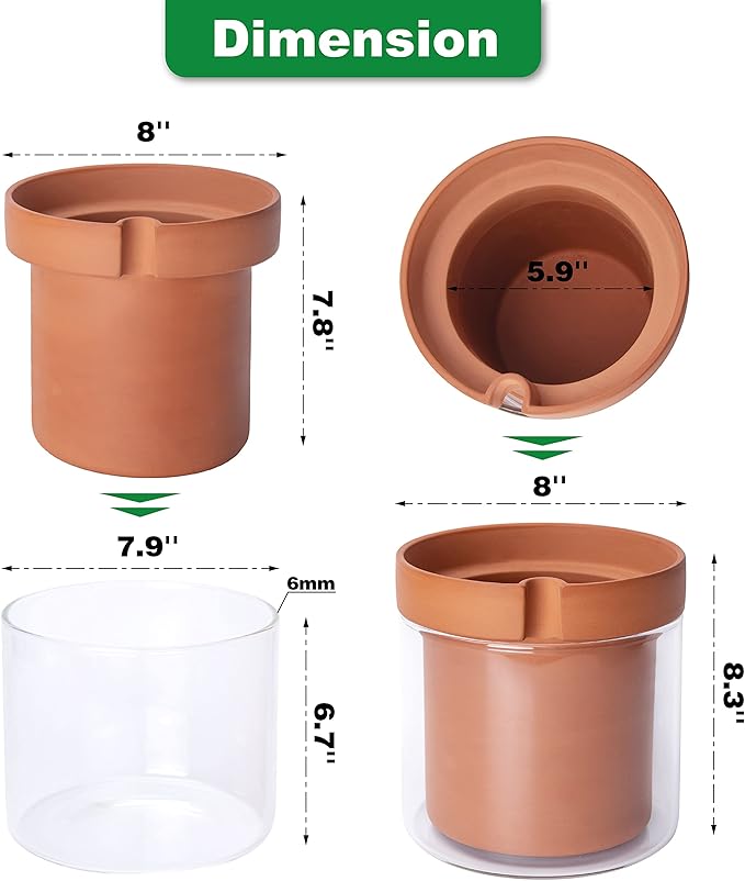 Phoenix Vine 8 Inch Self Watering Planter Pot, Terracotta Clay Pot - Image 3