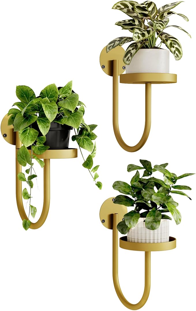 Bamworld Wall Plant Holder Wall Planters by Bamworld