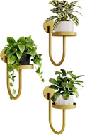Bamworld Wall Plant Holder Wall Planters by Bamworld