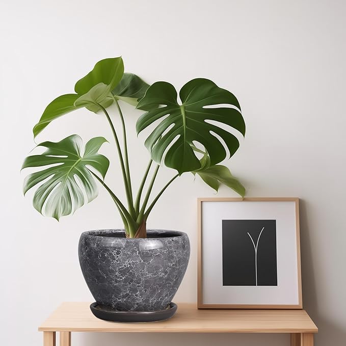 Ceramic Planter - Image 4
