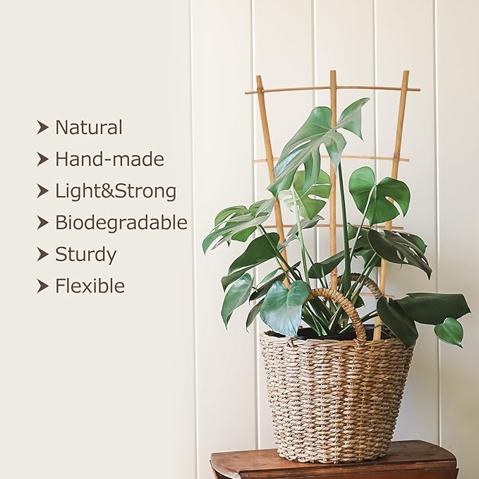 Bamboo Trellis 10 Pack, 16in Fan-Shaped Plant Trellis Indoor - Image 3