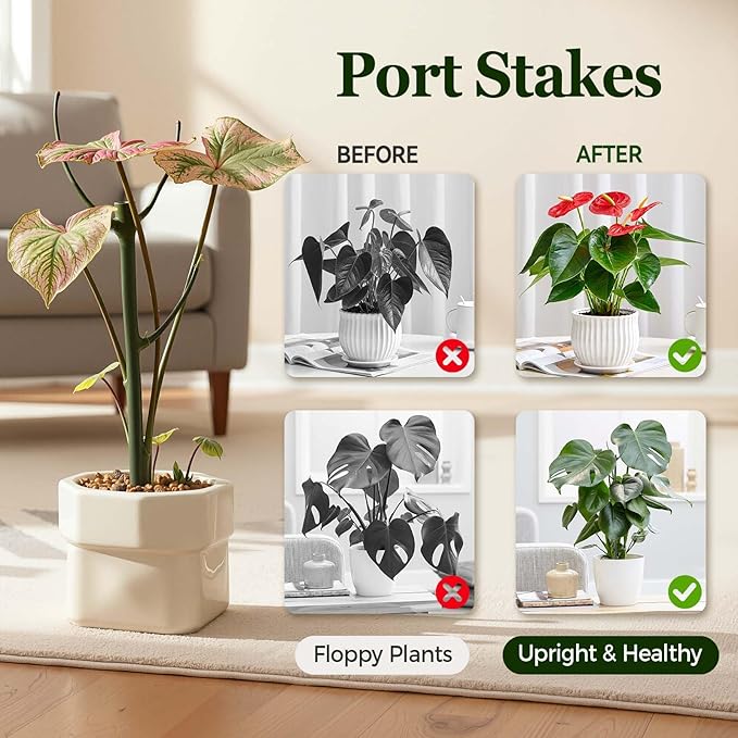 10 Pack Stackable Monstera Plant Support Stakes, Durable Climbing Plant Support - Image 6