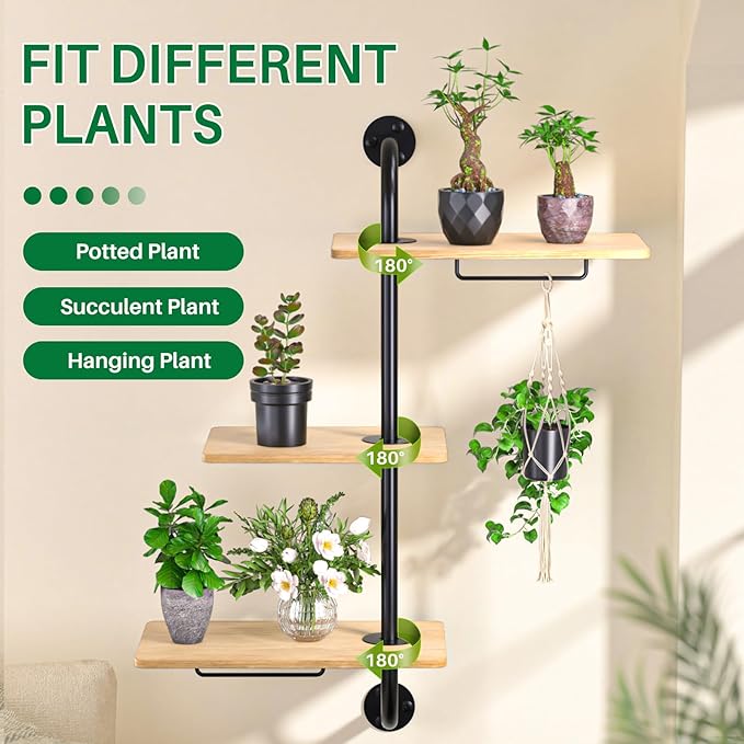 DELLAN Window Plant Shelves, Rotating Plant Shelf - Image 3