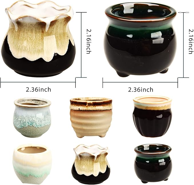 Brajttt 2.1 Inch Succulent Pot - Image 2