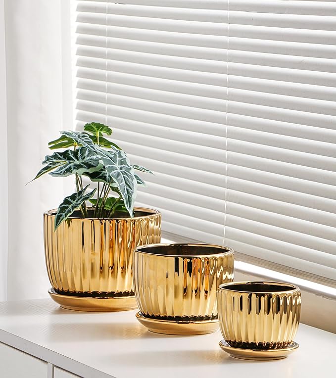 Ton Sin Gold Plant Pots, 4.1+5.1+6.5 Inch Ceramic Succulent Planters Set of 3 - Image 5