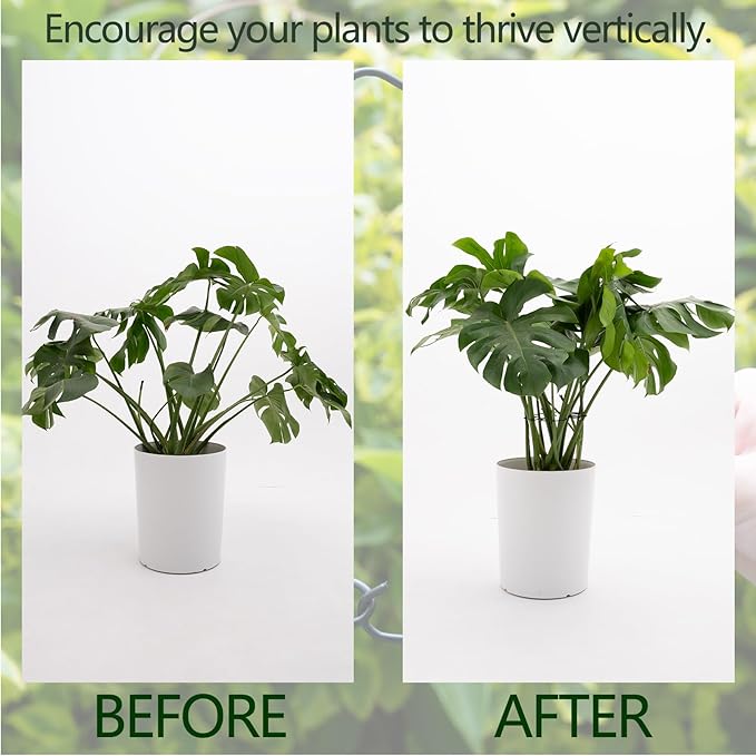 5PCS Monstera Plant Stem Support - Image 3