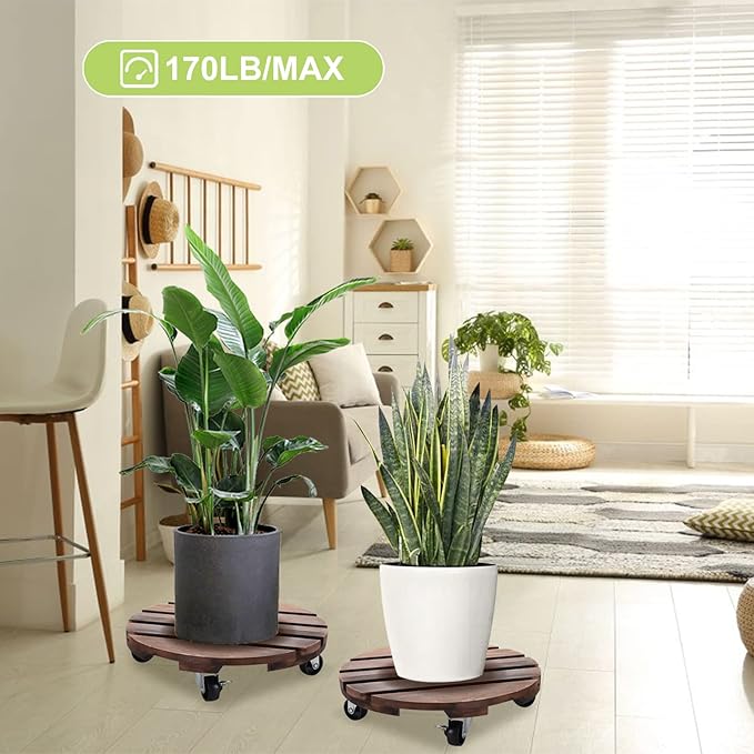2pack 12" Plant Caddy Plant Stand - Image 2
