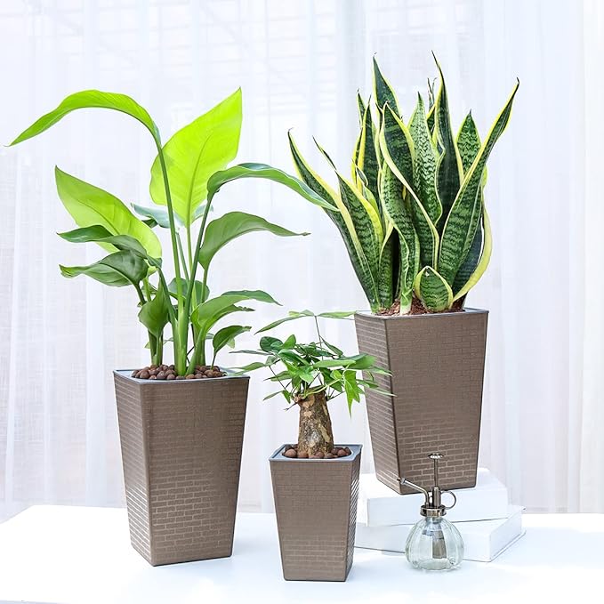 2 Pack Self Watering Planters 10.7" x 6.9" Planter - Image 2