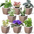 8 Pack Self Watering Pots 4-inch Decorative Flower Planters by Oliz