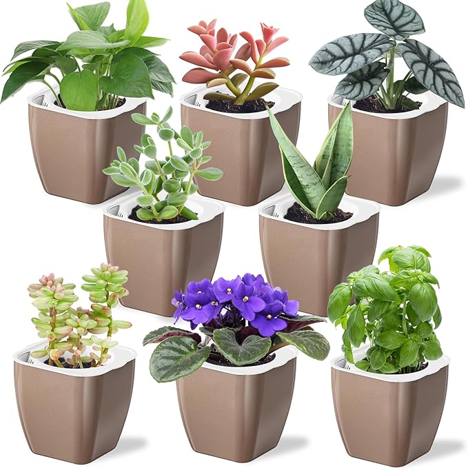8 Pack Self Watering Pots 4-inch Decorative Flower Planters by Oliz