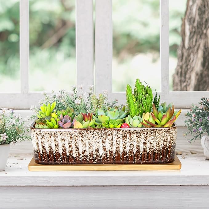 Succulent Pots - 12 Inch Large Succulent Planters - Image 6