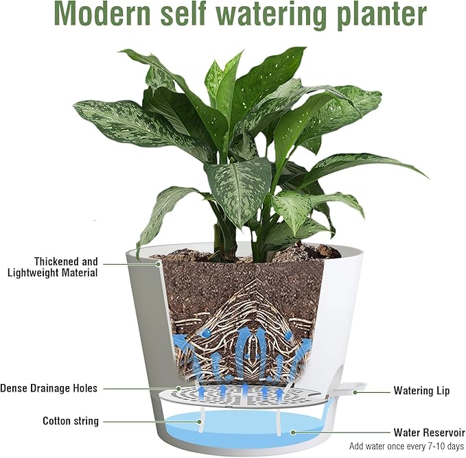 12 inch Large Self Watering Pots - Image 4
