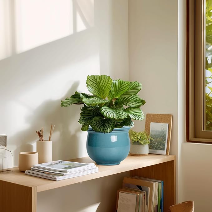 African Violet Pots 6 Inch, Ceramic Self Watering Pot - Image 7