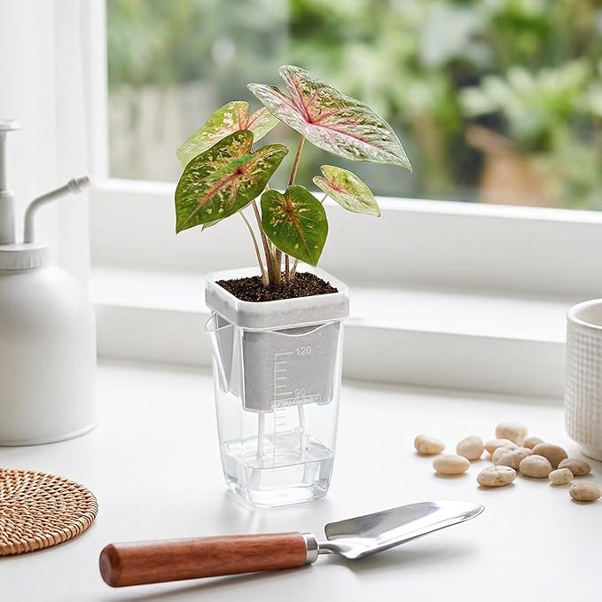 QCQHDU 2 Inch Mini Self Watering Pots - Image 3