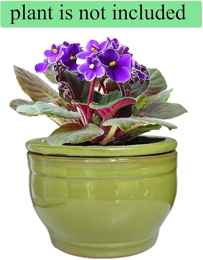 African Violet Pots Self Watering Round Ceramic Violet Pot - Image 6