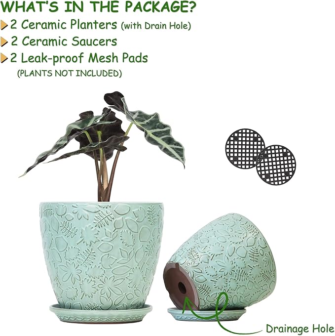 8 Inch + 6 Inch Plant Pots for Indoor Plants, Ceramic Planter - Image 3