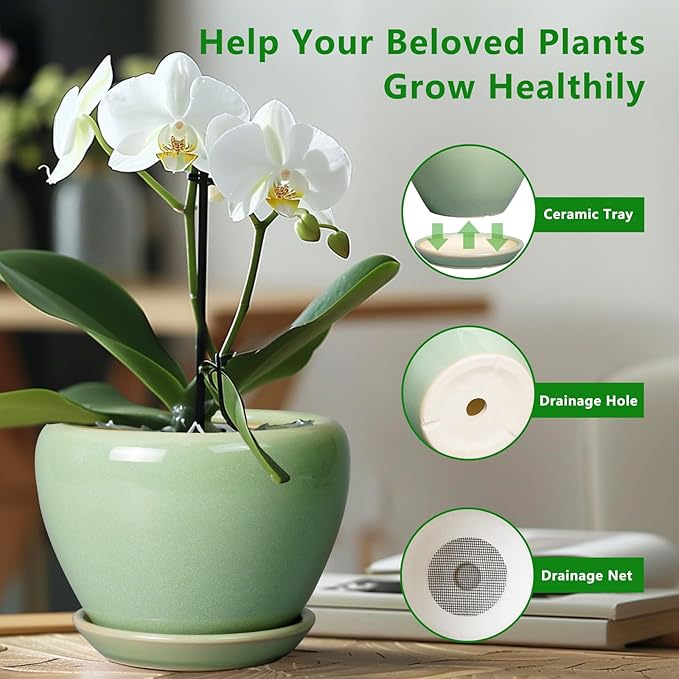 6 Inch Plant Pot - Image 5