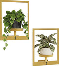 Bamworld Gold Plant Stand Indoor, Plant Hanger Wall Planters by Bamworld