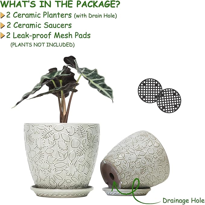 8 Inch + 6 Inch Retro Ceramic Planter Set of 2 - Image 2
