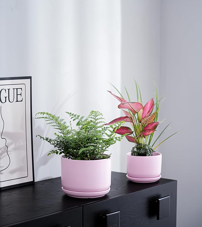 Ton Sin Pink Flower Pots, Ceramic Planter Pot - Image 7