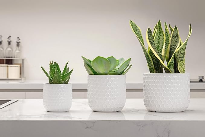 Docrin Plant Pots Indoor with Drainage: 6.4+5.3+4 Inch Ceramic Flower Pots - Image 8