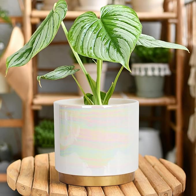 Gepege White Indoor Plant Pots for Plants, Ceramic Planter - Image 7